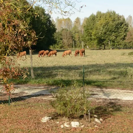 Bed and Breakfast Les Demeures de la Laigne à Allas-Bocage Extérieur photo