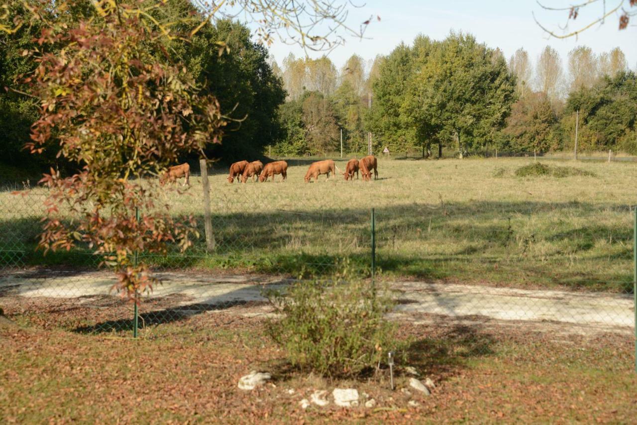 Les Demeures De La Laigne Allas-Bocage